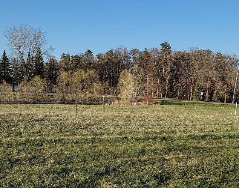 Blk 2 Lot 9 Sunset Avenue Prairie Ln, Mountain Lake, MN 56159