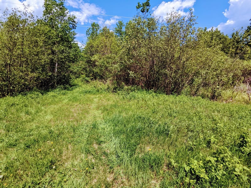 Lot 4 Sundling Rd, Winter, WI 54896