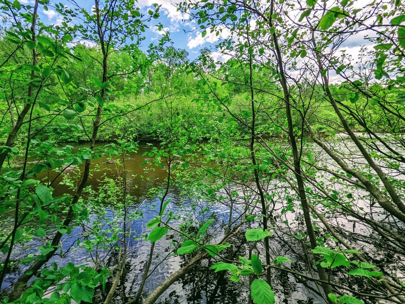 Lot 4 Sundling Rd, Winter, WI 54896