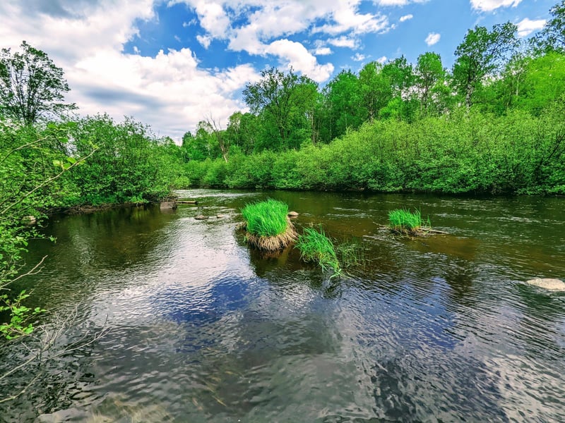 Lot 4 Sundling Rd, Winter, WI 54896