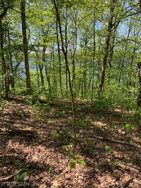 L21B3 Eagle Ridge Rd, Aitkin, MN 56431