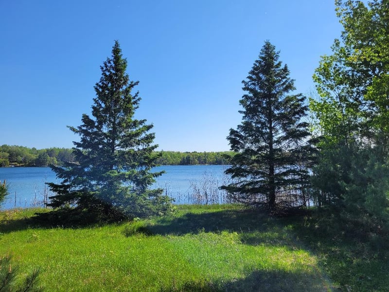 11226 E Ellison Rd, Barnes, WI 54873