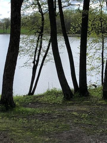10524 Boot Lake Rd, Frazee, MN 56544