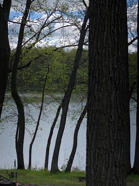 10524 Boot Lake Rd, Frazee, MN 56544