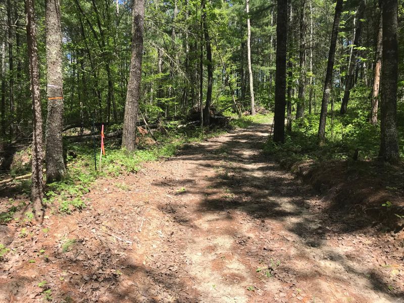 xxx Hazelnut Trl, Nevis, MN 56467