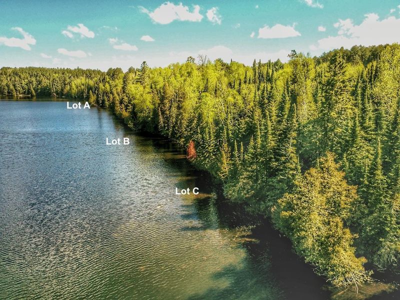 Lot A Fox Lake Rd, Bigfork, MN 56628