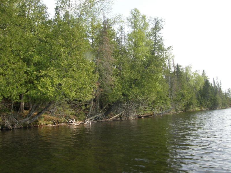 Lot B Fox Lake Rd, Bigfork, MN 56628