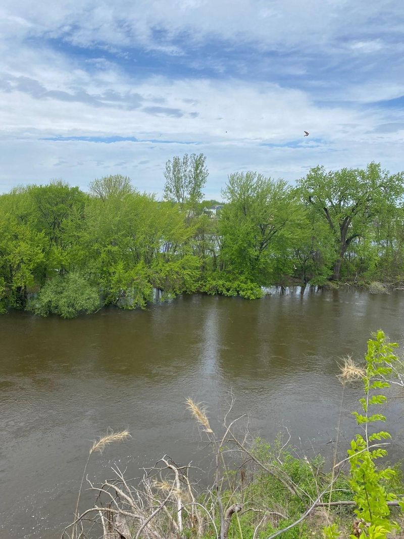 14841 Crow River Dr, Rogers, MN 55374