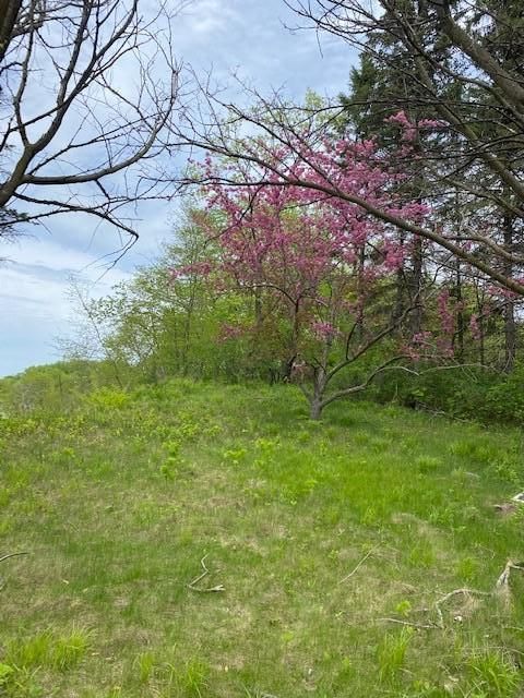 14841 Crow River Dr, Rogers, MN 55374