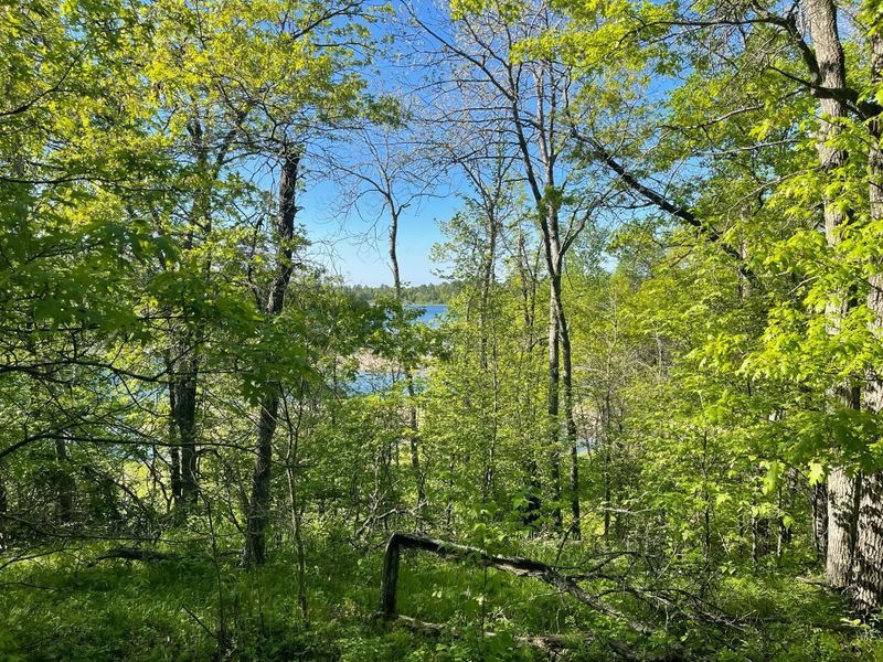 TBD Grandview Dr, Park Rapids, MN 56470