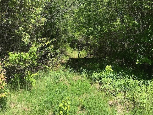591 62nd St, Lino Lakes, MN 55014