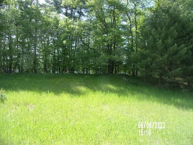 xxx Pinto Dr, Browerville, MN 56438