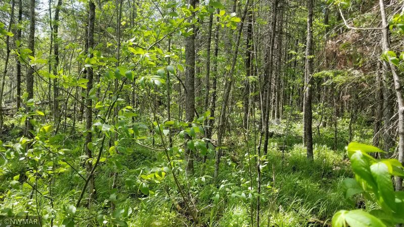 27 County Rd, Northome, MN 56661
