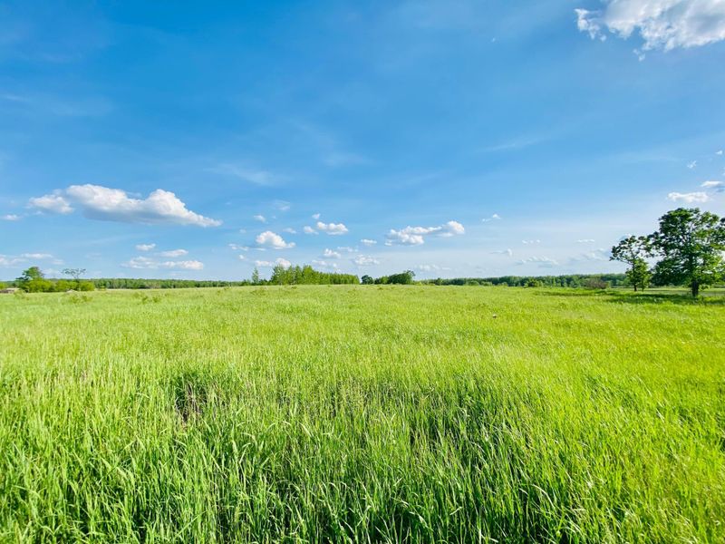 xxx 130th Ave, Ogilvie, MN 56358
