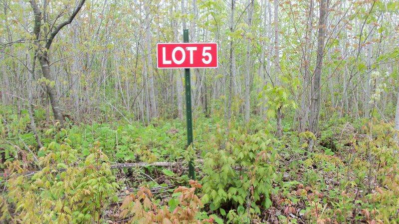 LOT 5 Beaver Dam Rd, Spooner, WI 54801