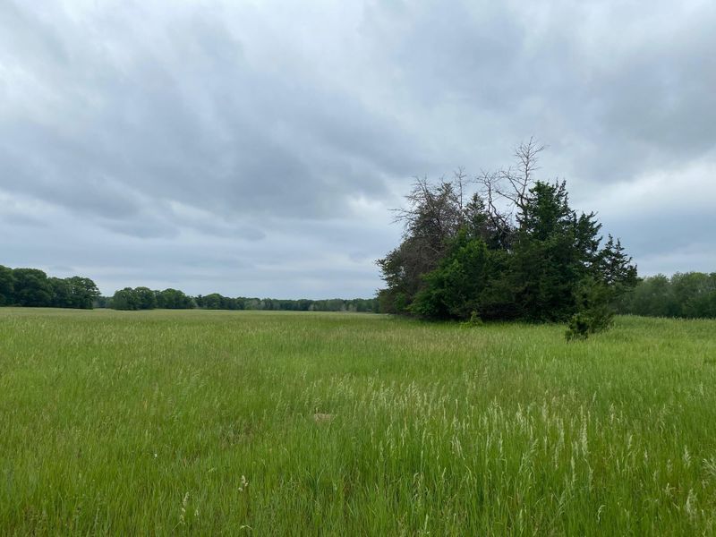 XX 165th Ave SE, Becker, MN 55308
