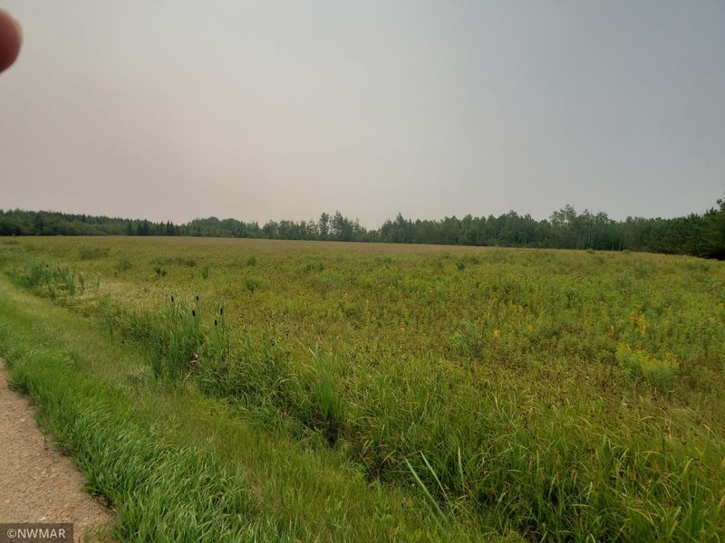 TBD Kelliher Rd, Kelliher, MN 56650