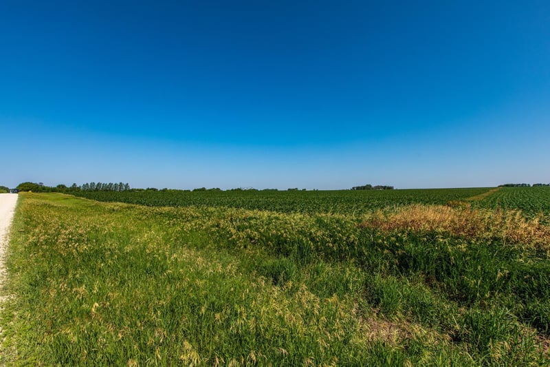 655th Street, Kasson, MN 55944