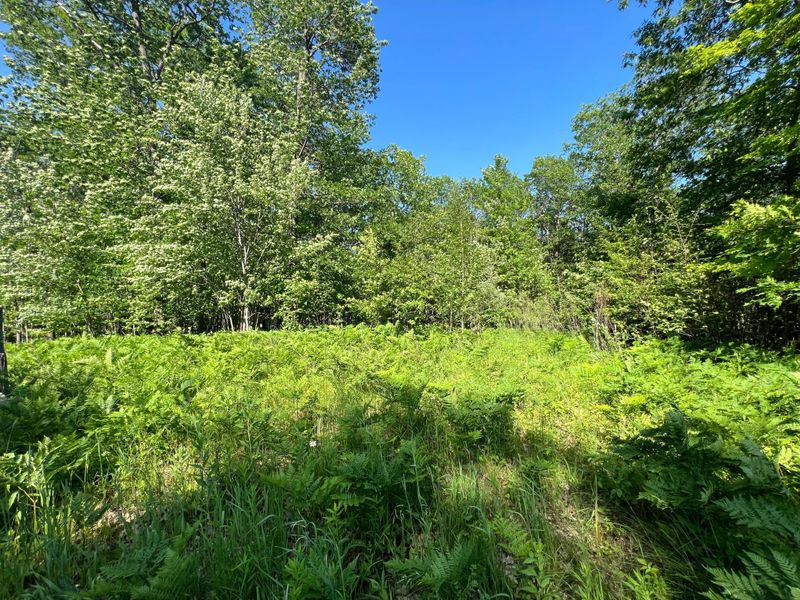 9612 410th Ave, Hillman, MN 56338