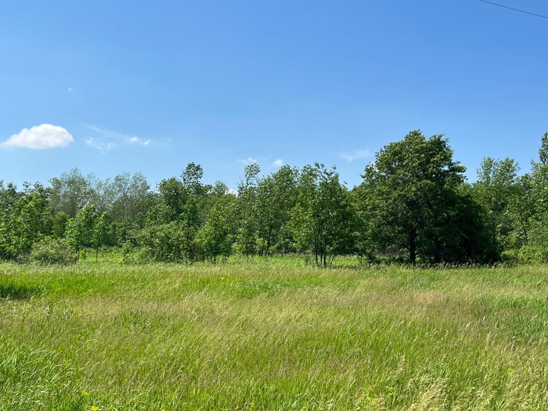 XXX 172nd St, Princeton, MN 55398