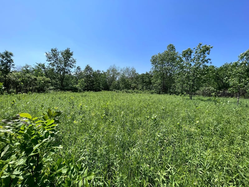 XXX 172nd St, Princeton, MN 55398