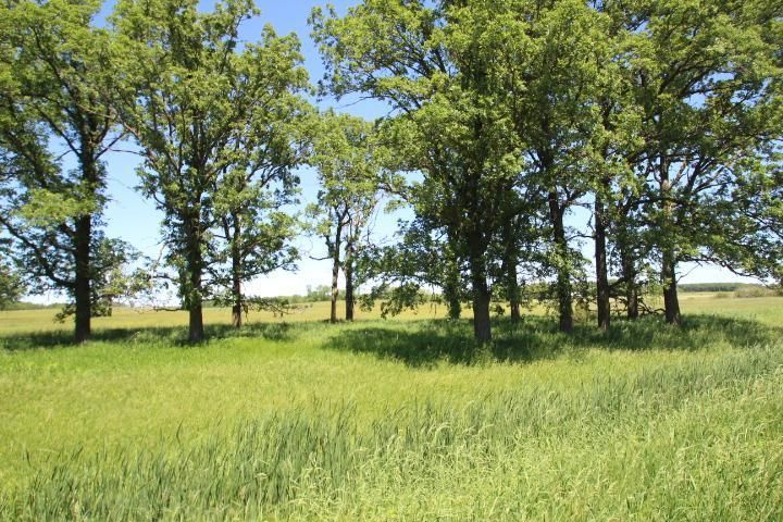 30xxx 93rd St, Pierz, MN 56364