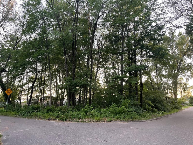 xxx Lincoln Dr, East Bethel, MN 55092
