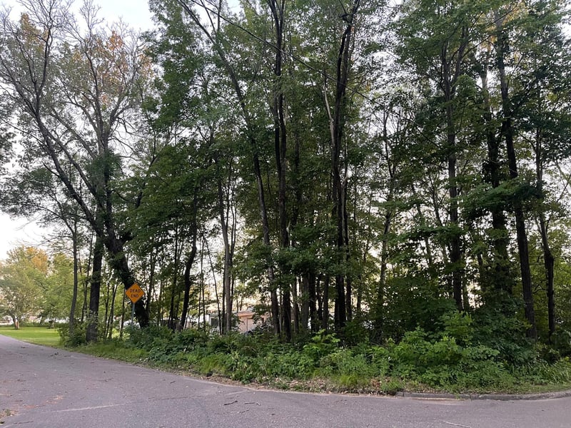 xxx Lincoln Dr, East Bethel, MN 55092