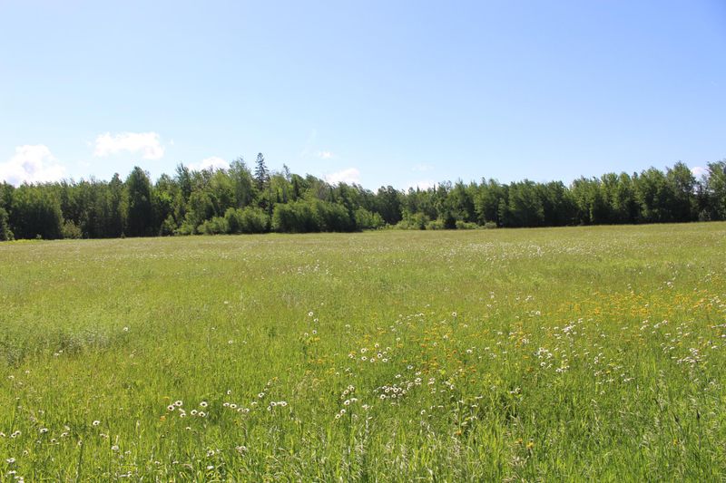 TBD County Rd 152, Deer River, MN 56636