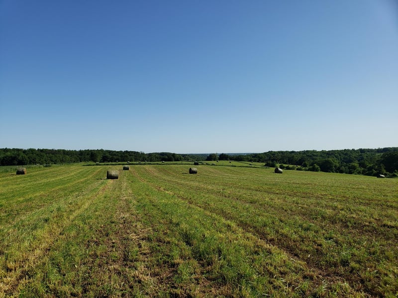 TBD County 23, Canton, MN 55922