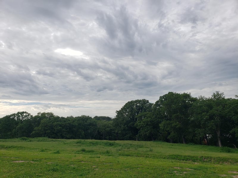 TBD County 23, Canton, MN 55922