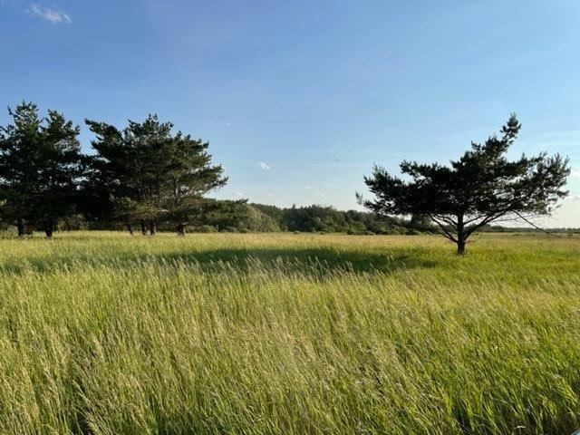 12492 Clark Rd NE, Carlos, MN 56319