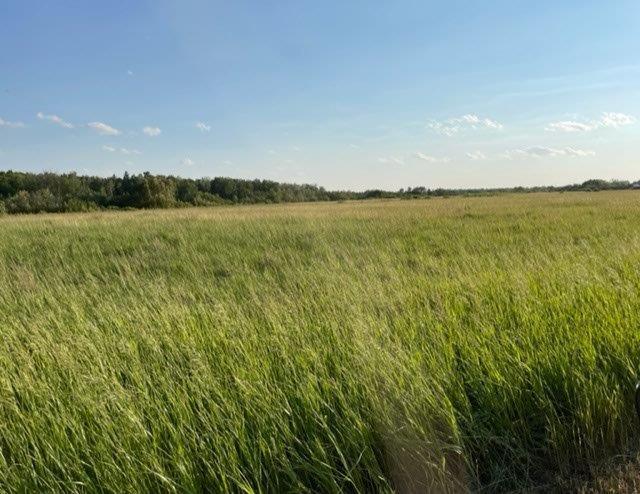 12492 Clark Rd NE, Carlos, MN 56319