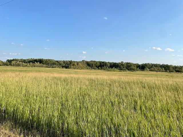 12492 Clark Rd NE, Carlos, MN 56319