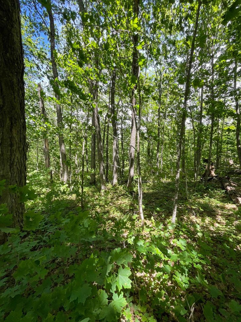 Lot 9 Block3 Hillside Dr, Lutsen, MN 55612