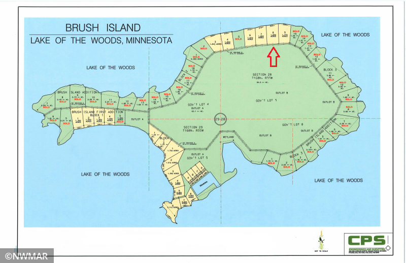 Tract No. 8 Brush Island, Angle Inlet, MN 56711