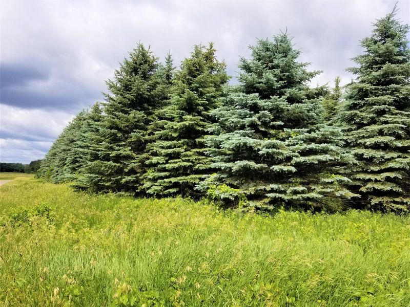 3xxx 308th Ave, Frederic, WI 54837