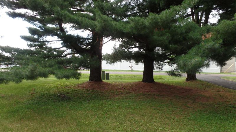 980 S Alger Ave, Rush City, MN 55069
