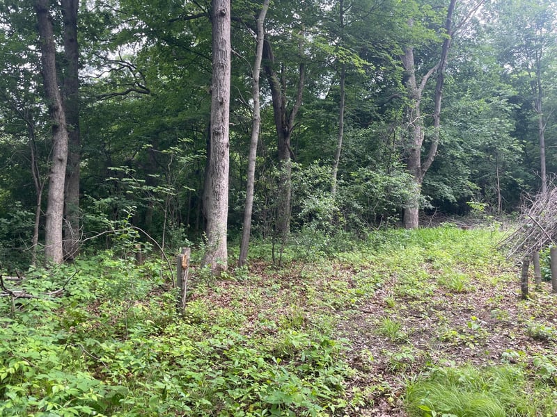 550 University St, Elk Mound, WI 54739
