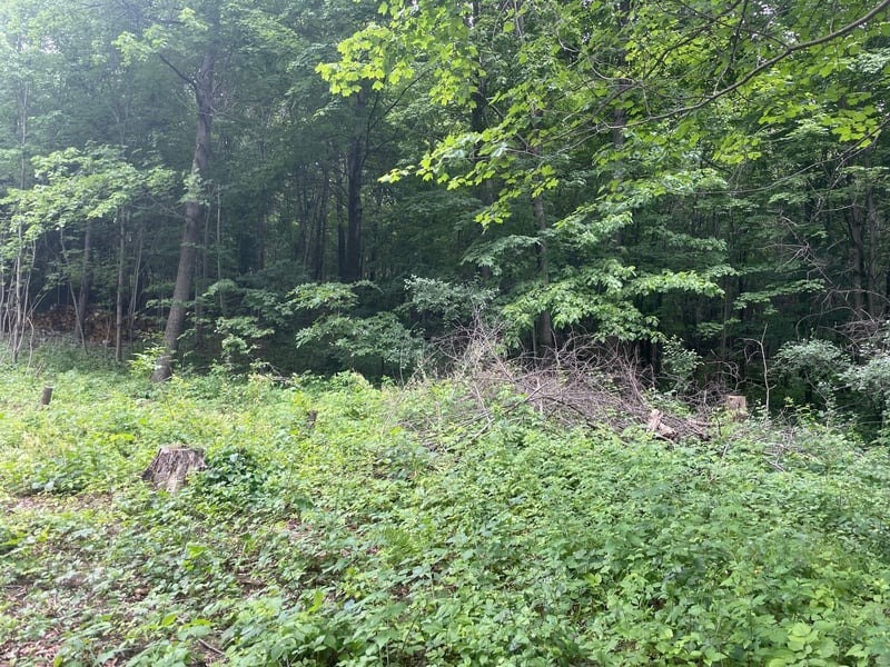 550 University St, Elk Mound, WI 54739