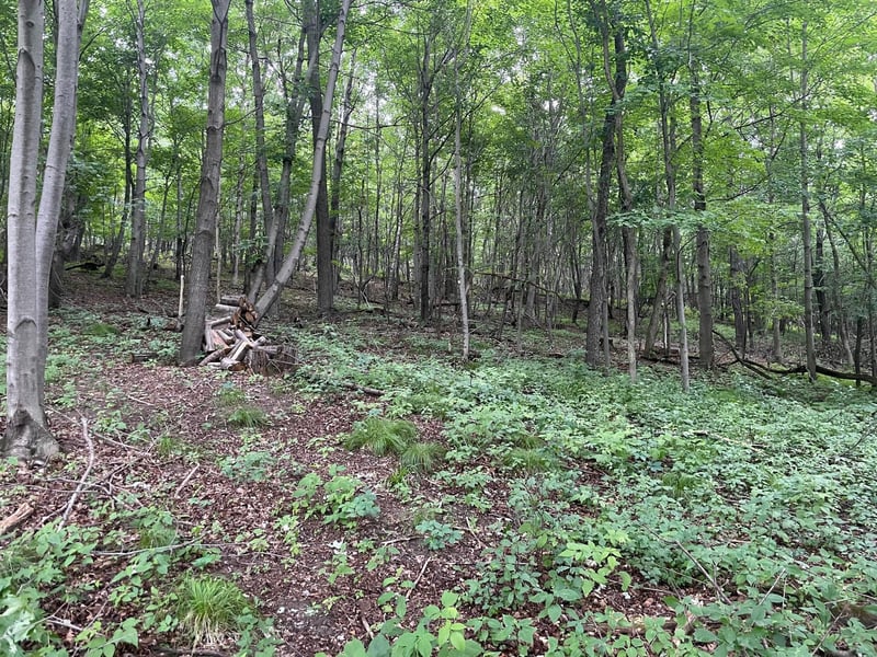 550 University St, Elk Mound, WI 54739