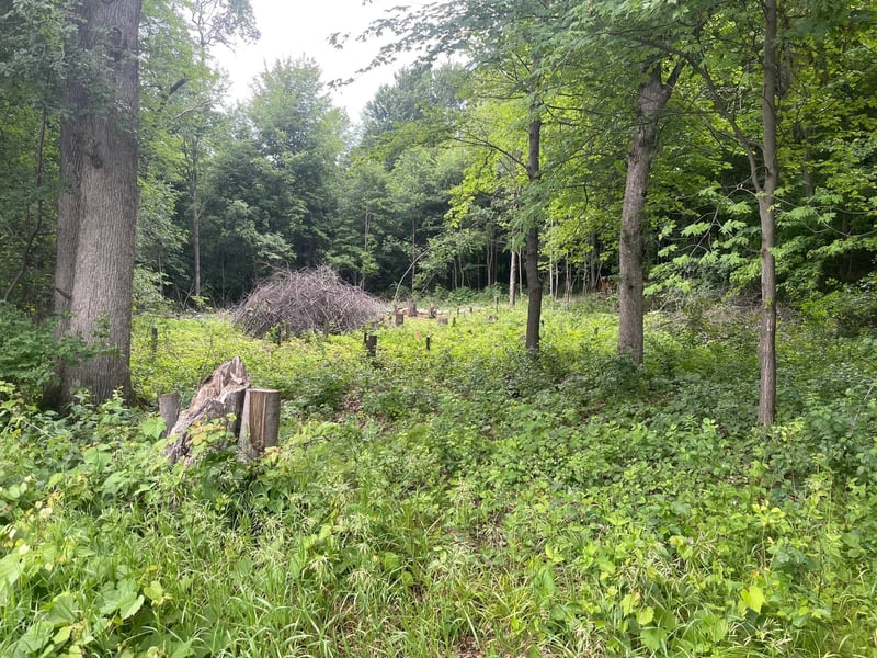 550 University St, Elk Mound, WI 54739