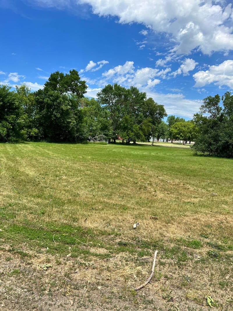 4th Ave 4th Ave, Marietta, MN 56257