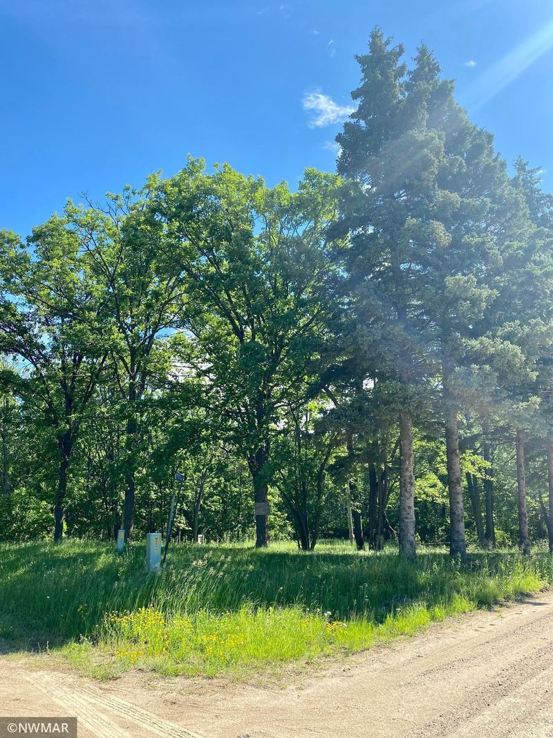 9034 Goodnuff Ln NE, Bemidji, MN 56601
