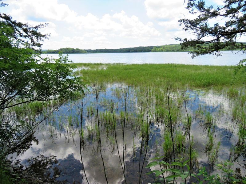 17653 Upper Spunk Lake Rd, Avon, MN 56310
