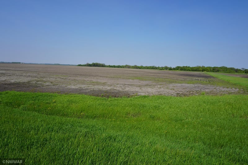 TBD 330th Ave NW, Argyle, MN 56713