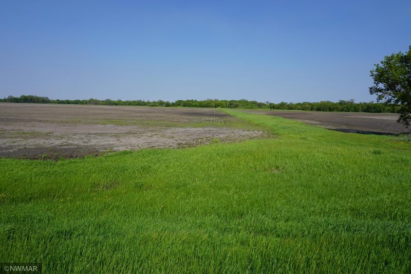 TBD 330th Ave NW, Argyle, MN 56713