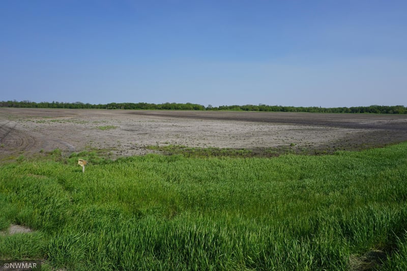 TBD 330th Ave NW, Argyle, MN 56713