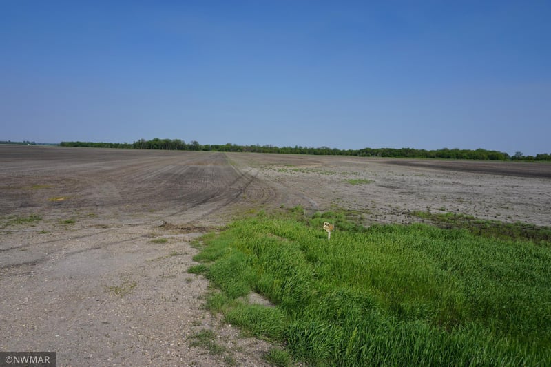 TBD 330th Ave NW, Argyle, MN 56713
