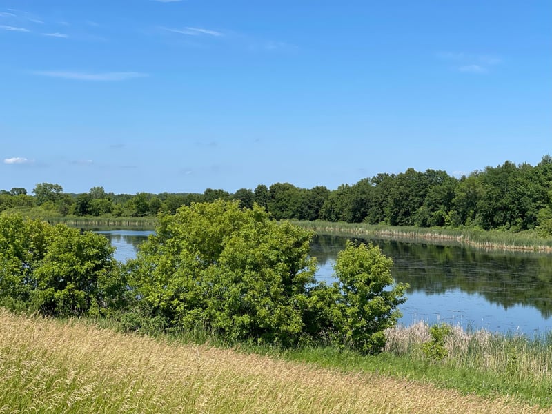 16938 207th Ave, Eden Valley, MN 55329